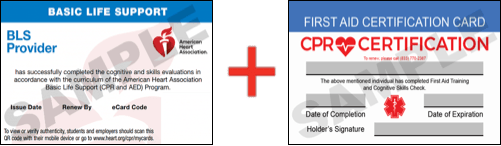 Sample American Heart Association AHA BLS CPR Card Certification and First Aid Certification Card from CPR Certification Boston