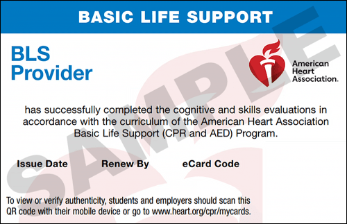 Sample American Heart Association AHA BLS CPR Card Certification