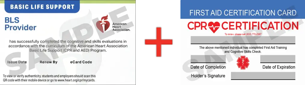 Sample American Heart Association AHA BLS CPR Card Certification and First Aid Certification Card from CPR Certification Boston